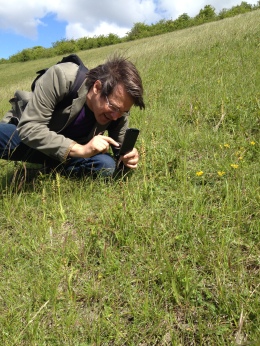 Mark recording man orchids in Kent